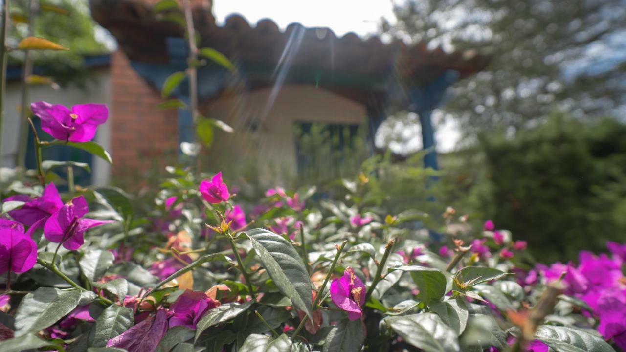 Termales El Otono Hotell La Enea Exteriör bild A woman watering flowers